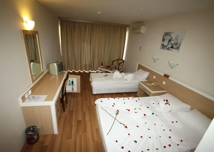 호텔 Tuntas Altinkum 3*