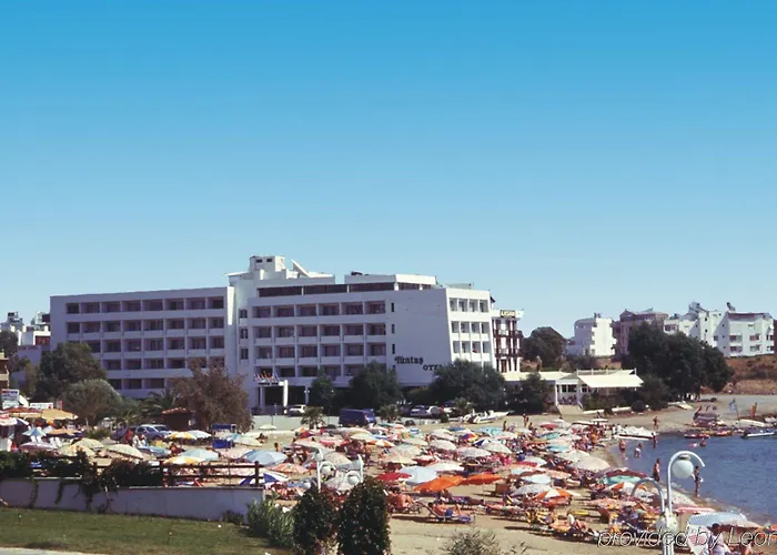 Tuntas Altinkum 3*