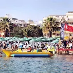 Tuntas Altinkum