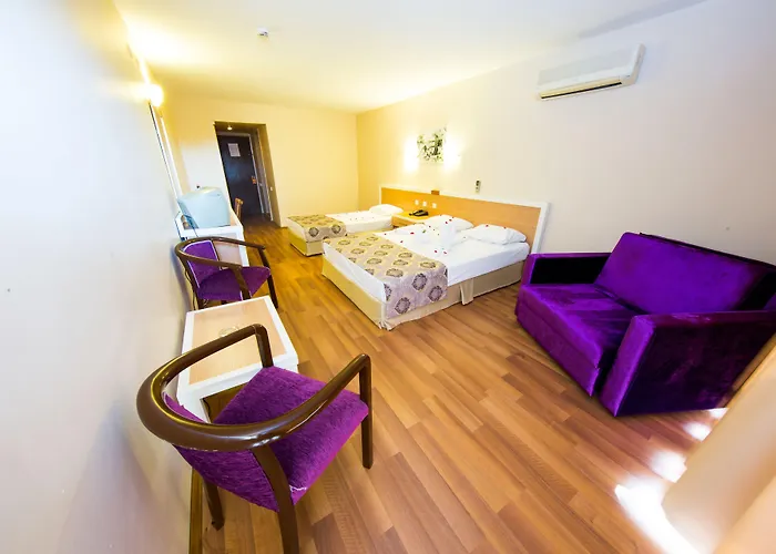 Tuntas Altinkum Hotel 3*